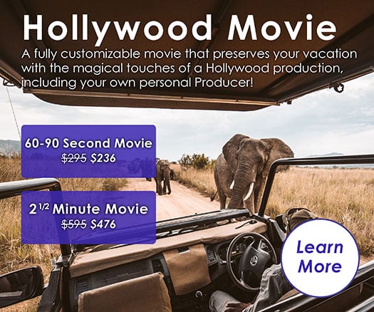 URLIFE Hollywood Card v3 2023