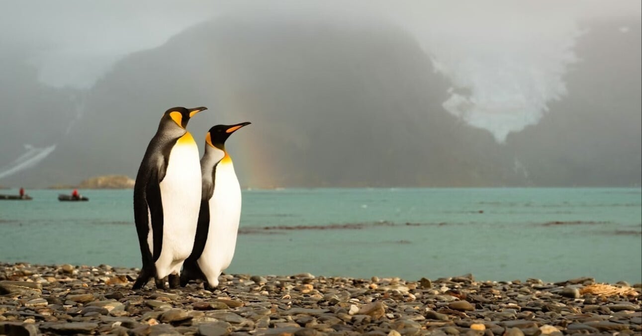 The Best Time to Visit Antarctica