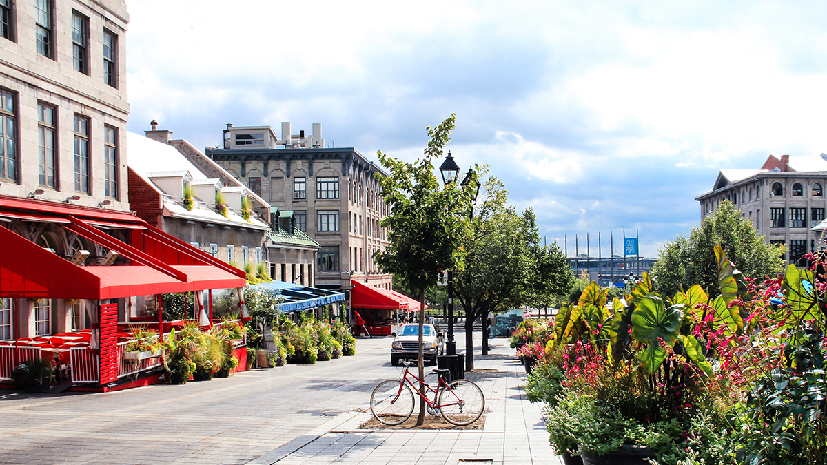 Montréal Like a Local: Our Favorite Places